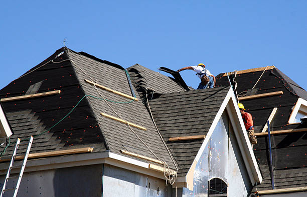 Best Roof Moss and Algae Removal  in Meridian, PA